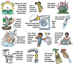 Along With Some Water-Saving Tips!